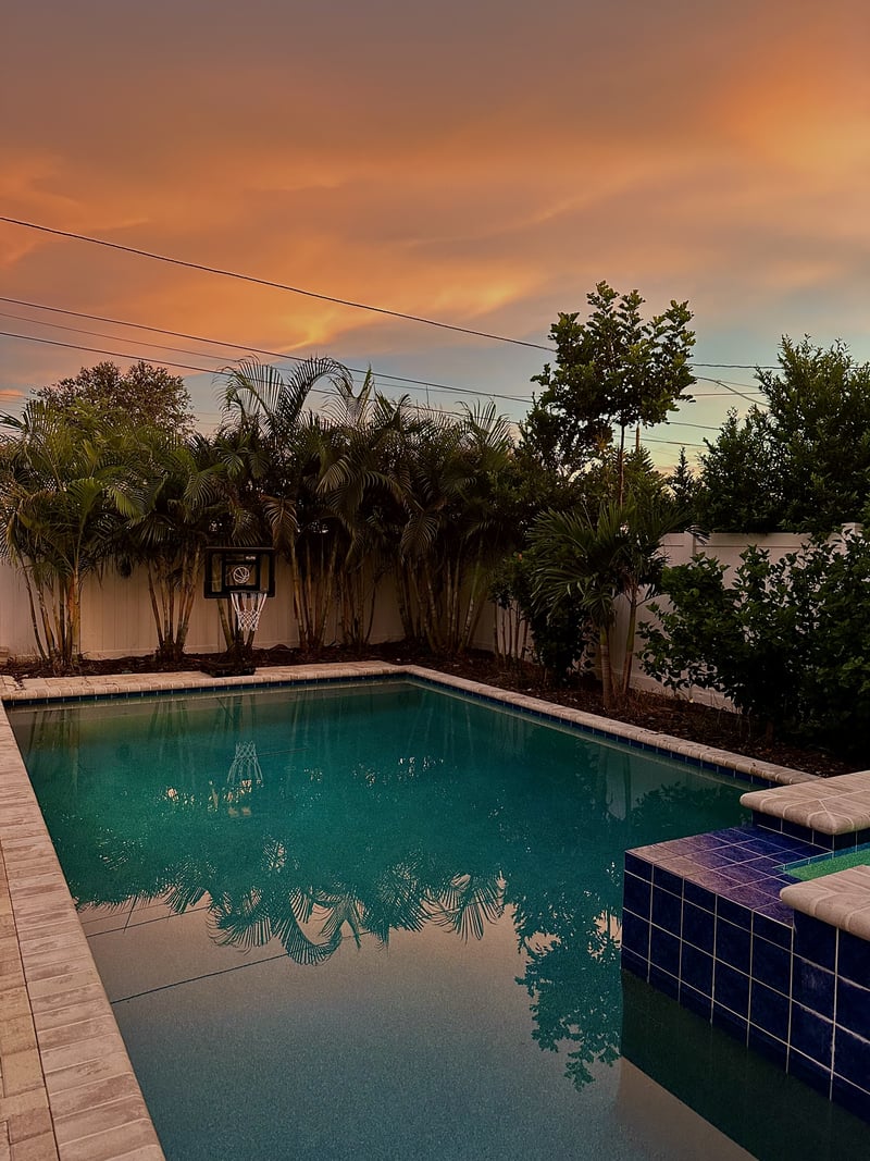 St. Petersburg Tropical Poolside