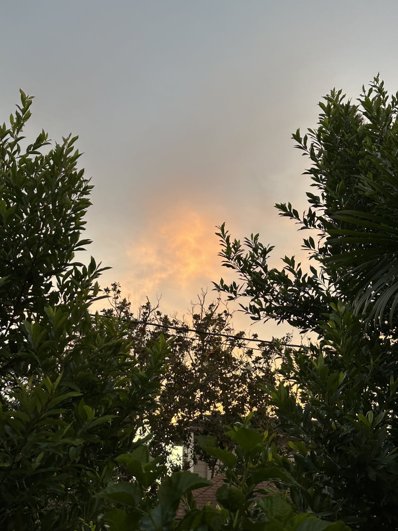 St. Petersburg Garden Sunset
