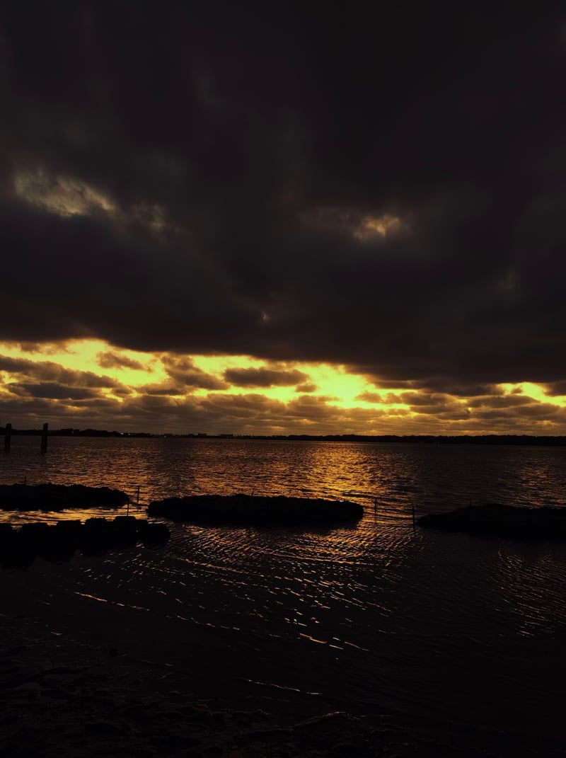 Boca Ciega Bay Waterfront