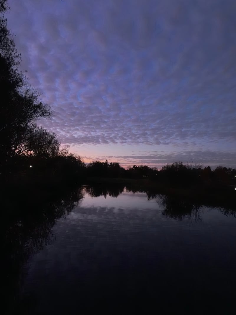 Jungle Terrace Sunset Pond