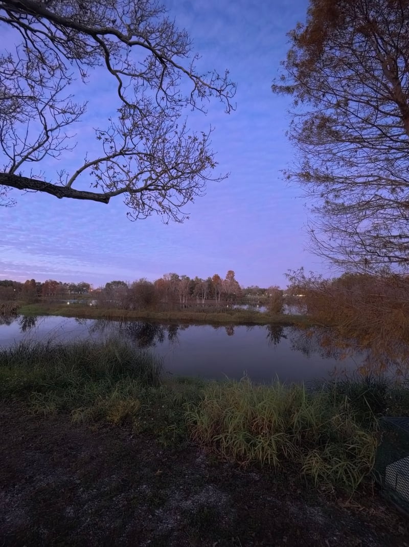 Walter Fuller Park Lake