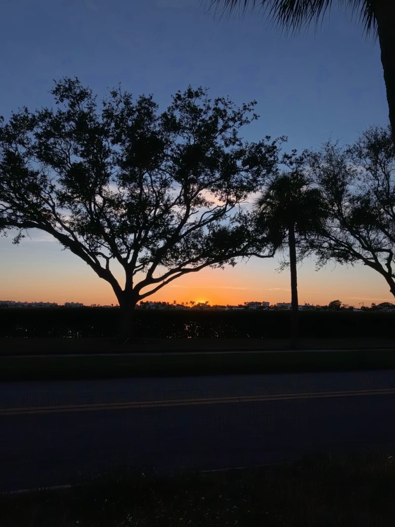 Jungle Terrace Sunset Overlook