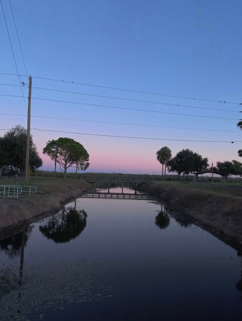 Jungle Terrace Canal Bridge