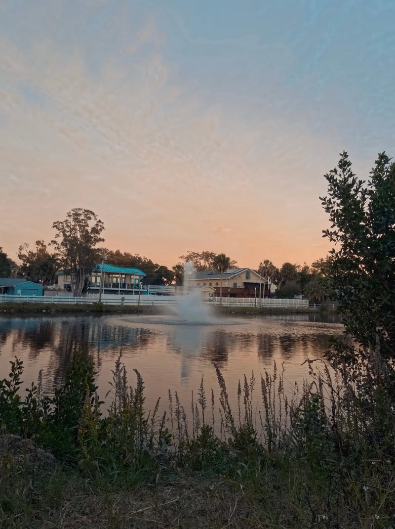St. Petersburg Neighborhood Pond Fountain