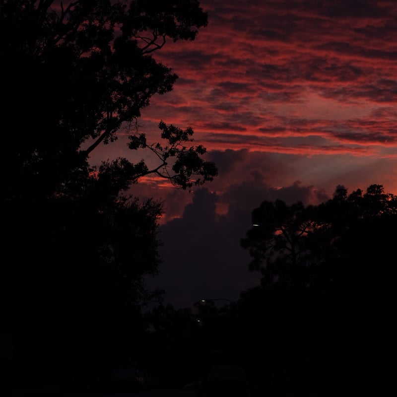 St. Petersburg Sunset Silhouette