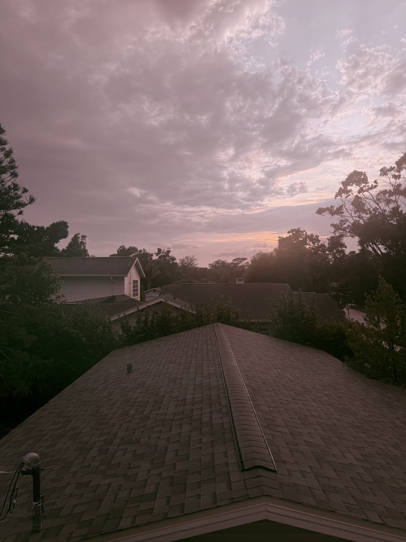 Disston Heights Sunset View