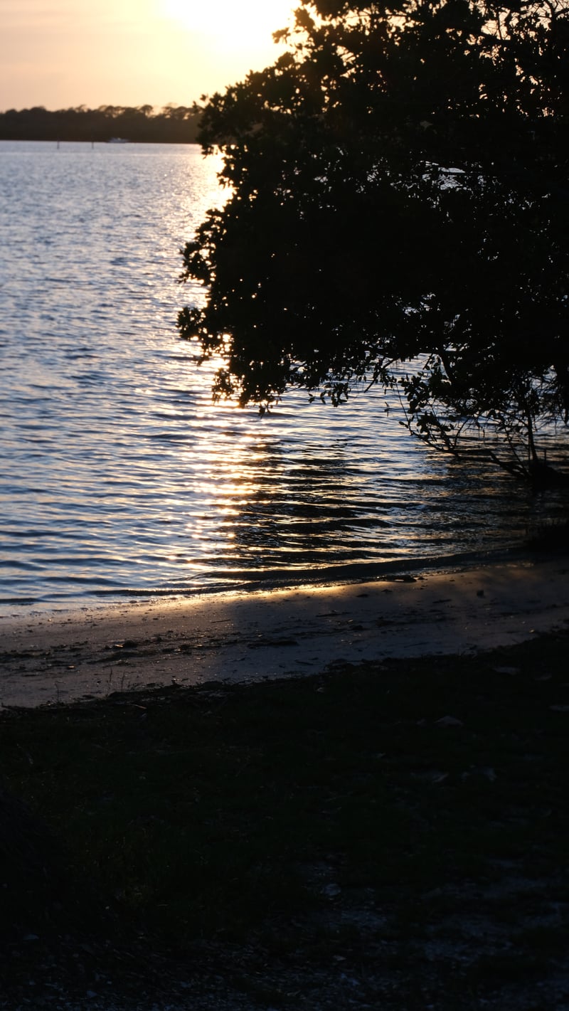 Boca Ciega Bay Shoreline