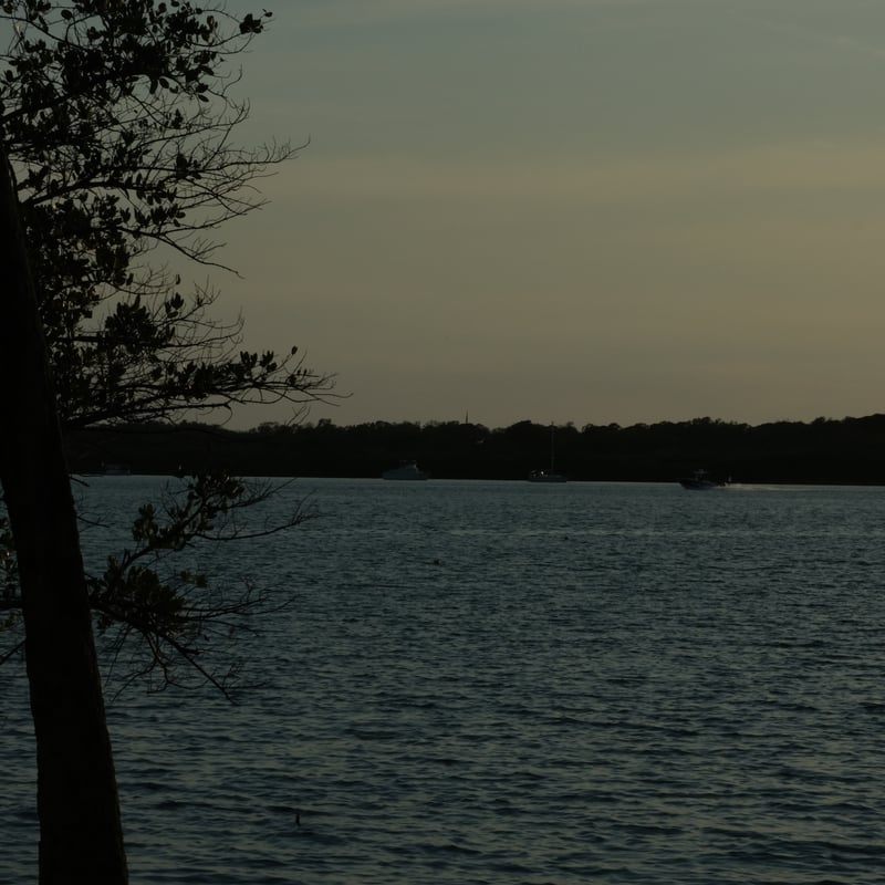 Boca Ciega Bay Waterfront