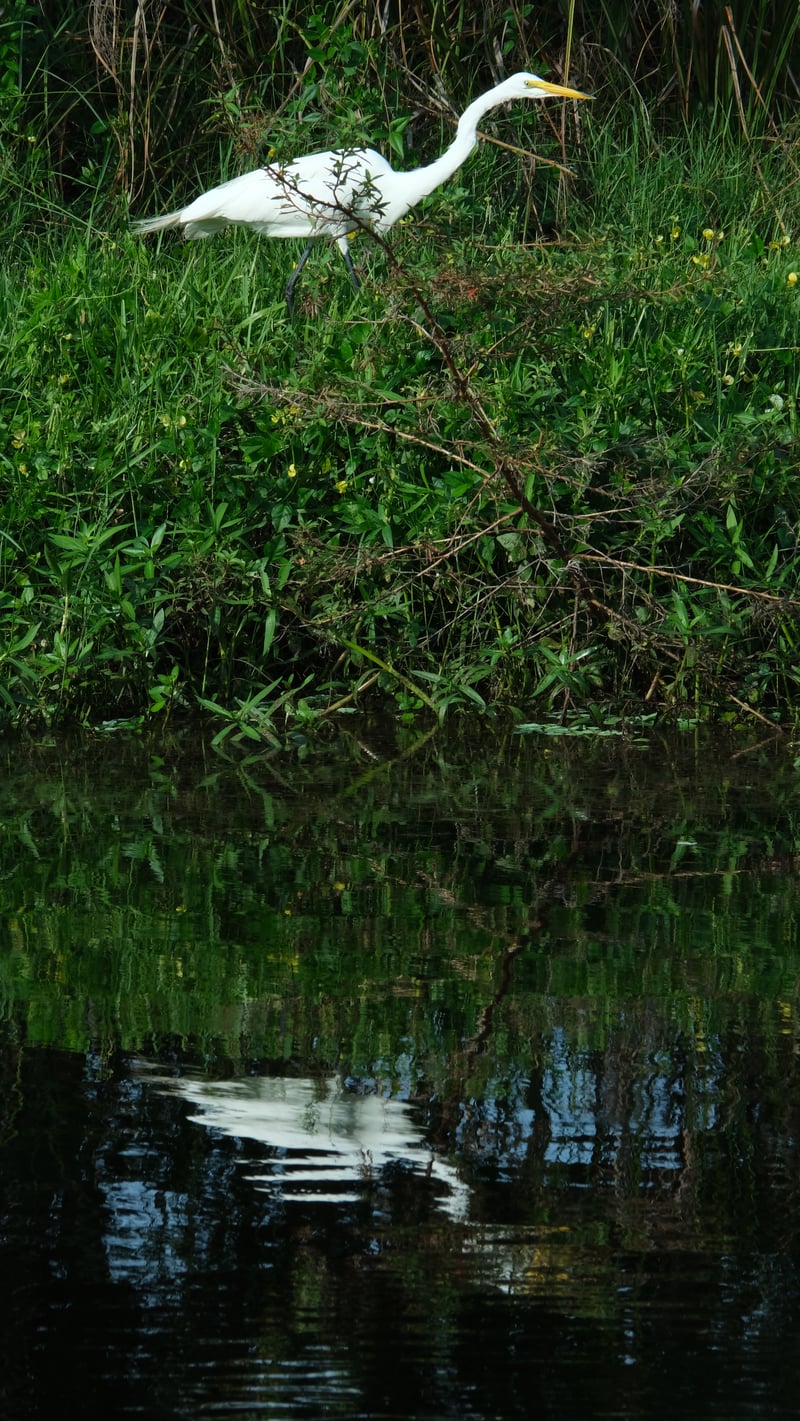Garden Lake Waterway