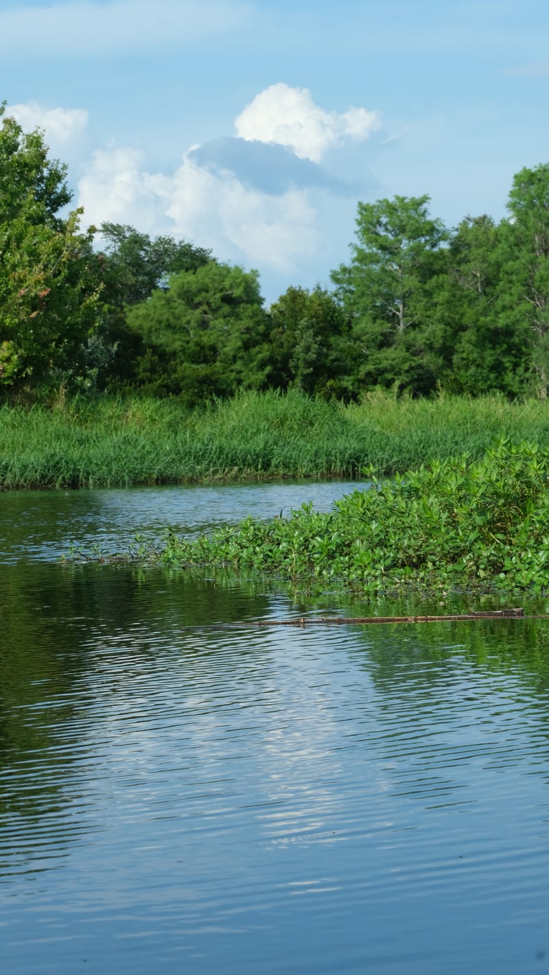 Walter Fuller Park Lake