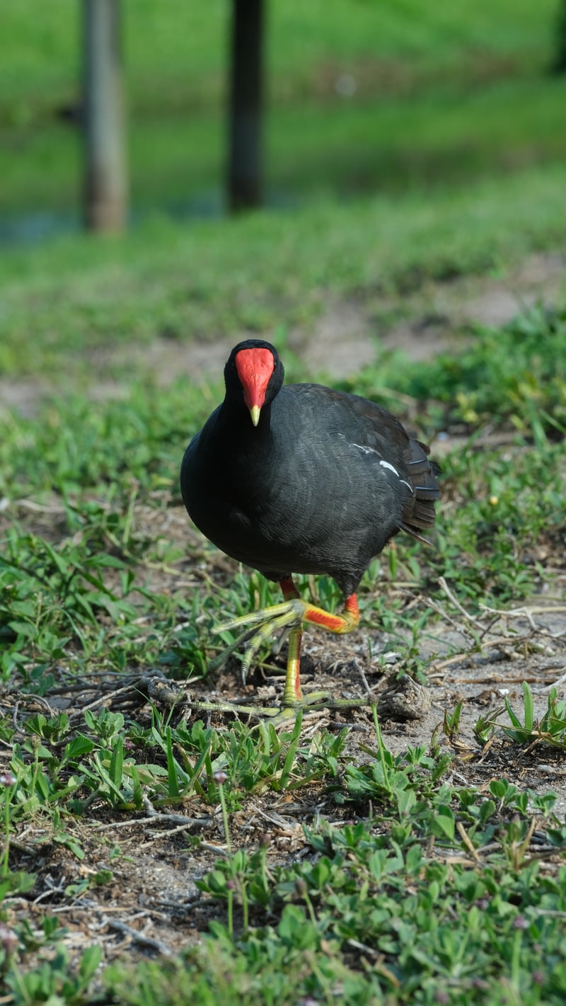 Clam Bayou Nature Area