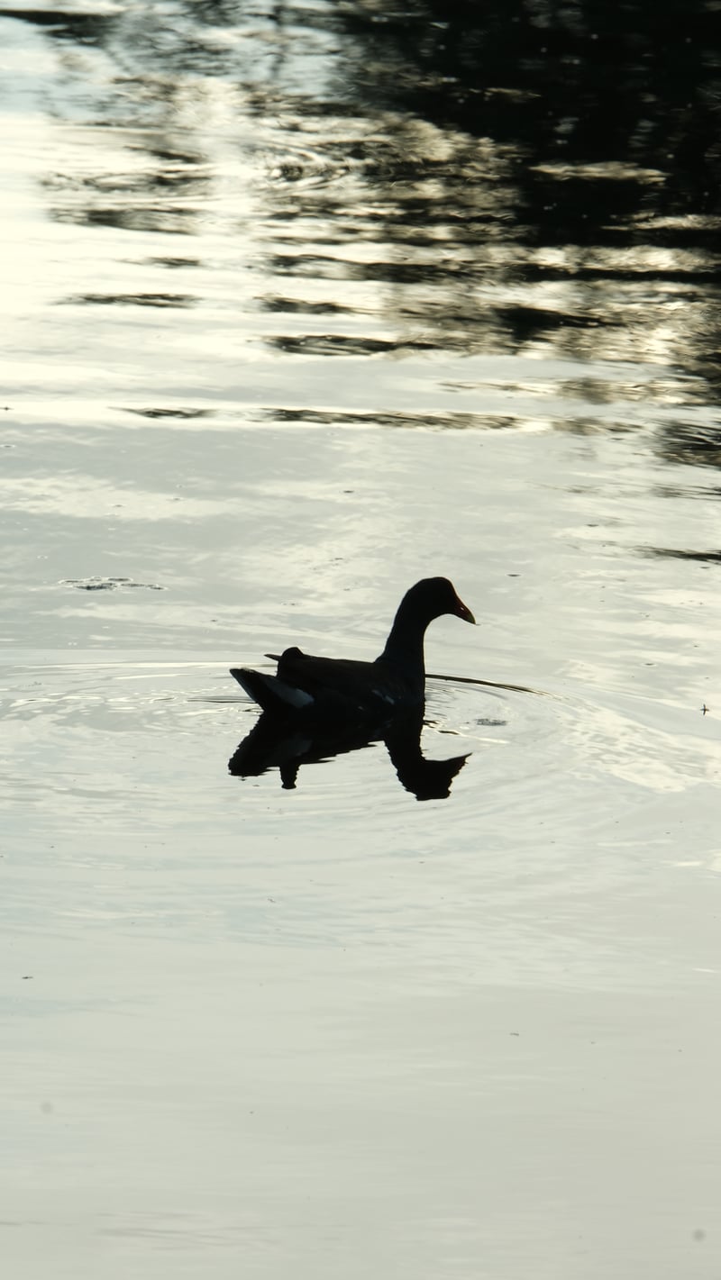Clam Bayou Nature Park