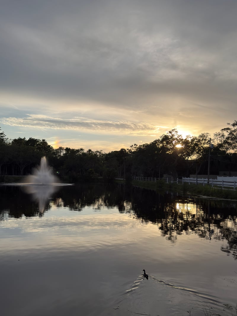 Gulfport Neighborhood Pond