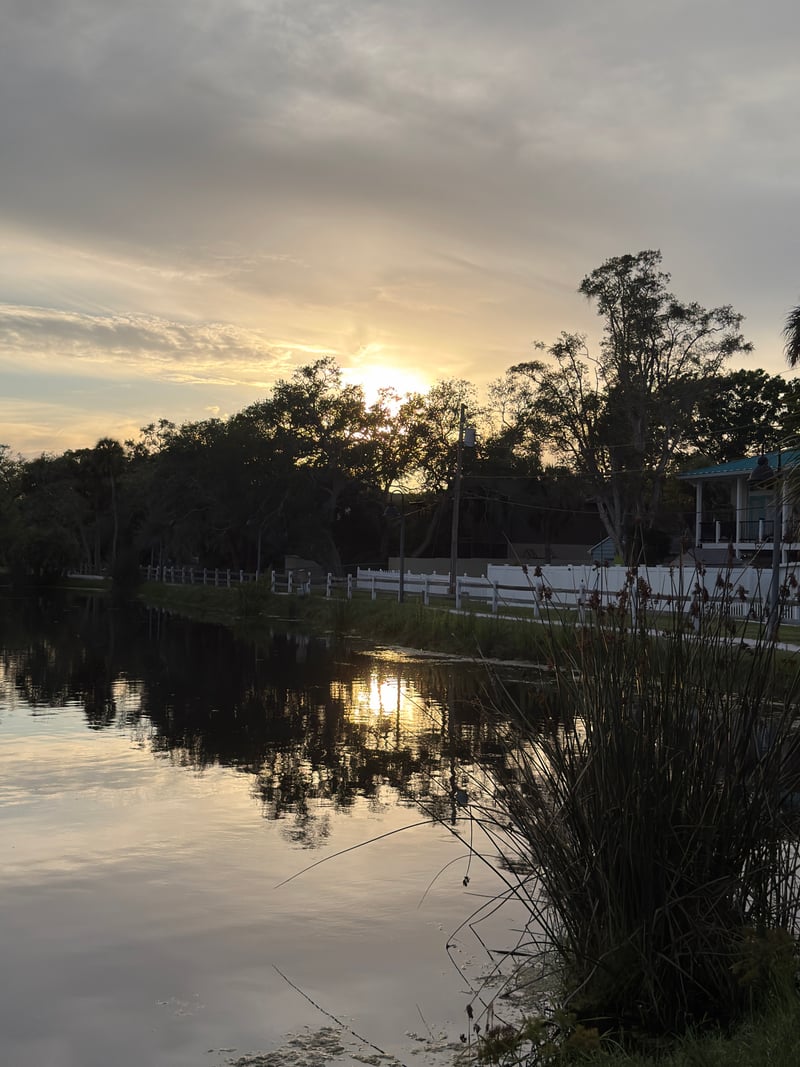 Gulfport Neighborhood Pond Sunset