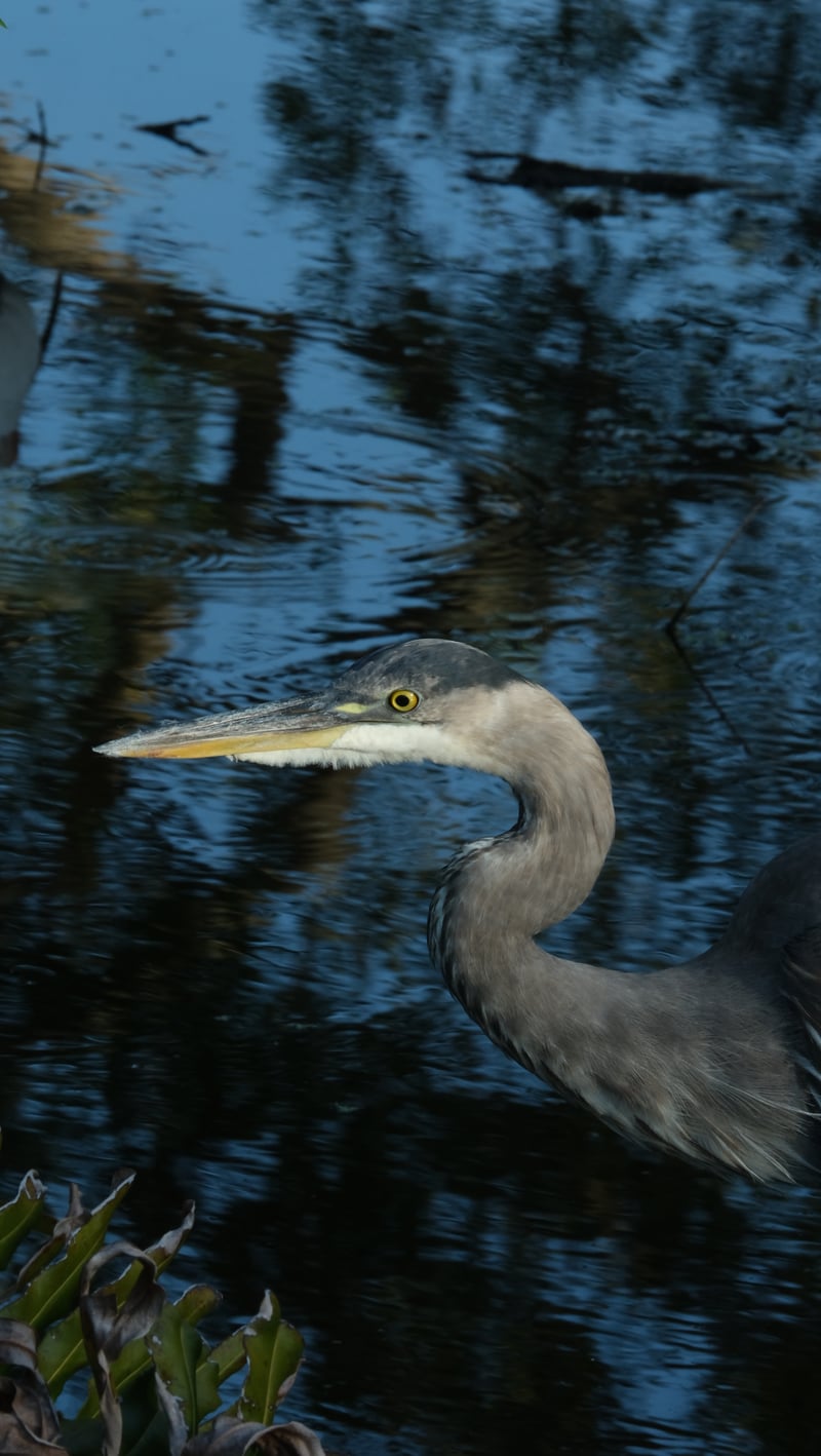 Clam Bayou Nature Park