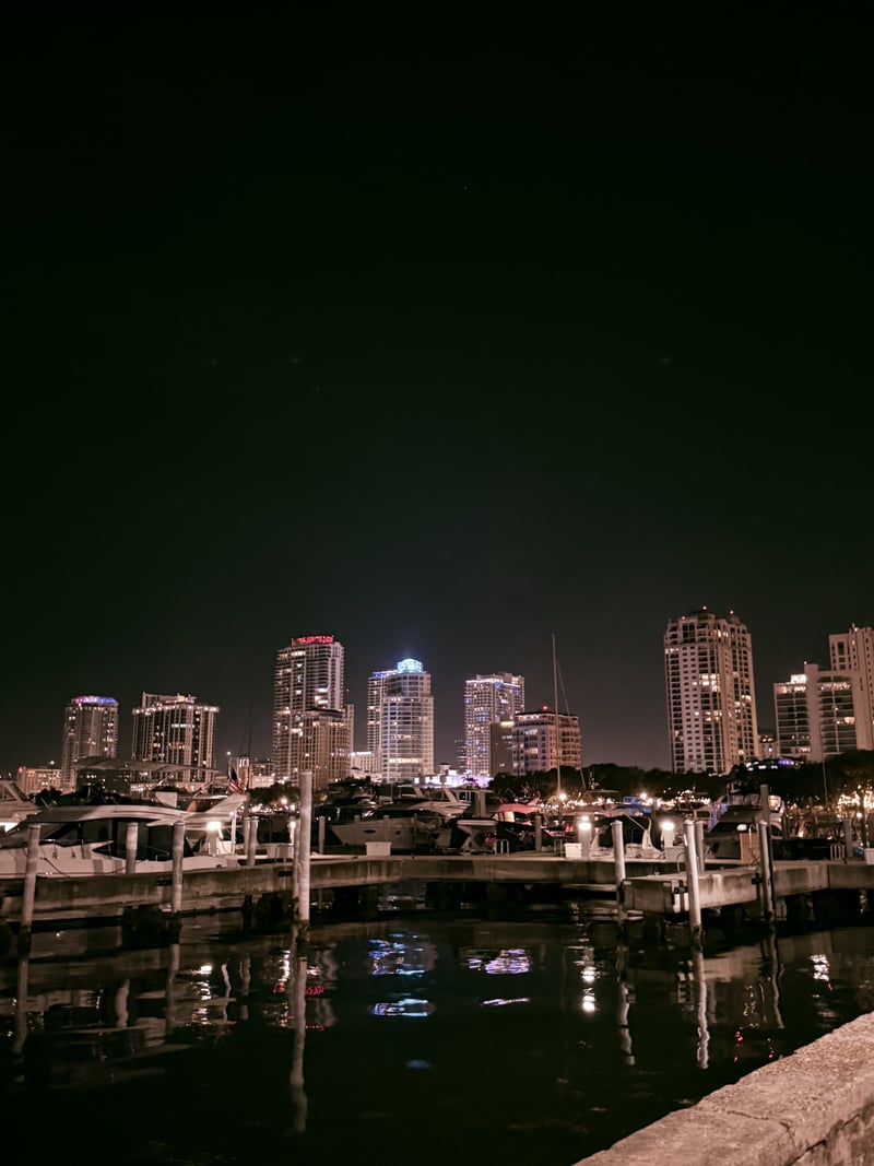 Vinoy Basin Skyline View