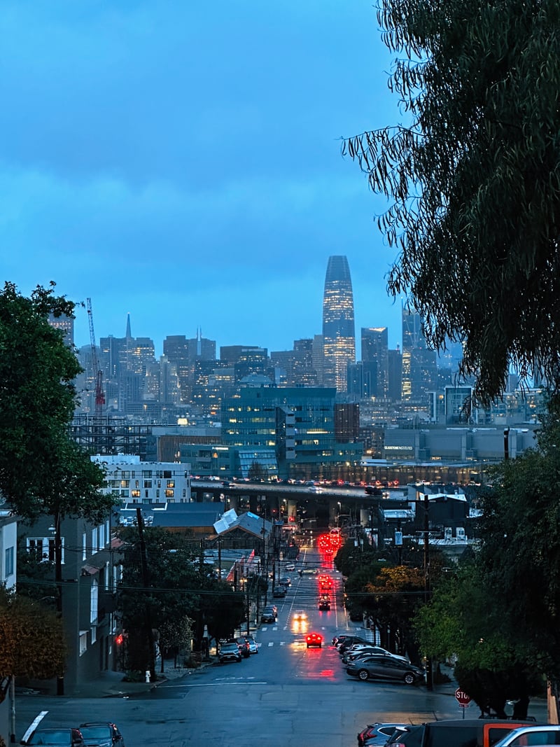 San Francisco Skyline Overlook