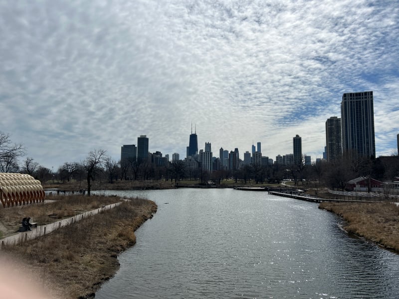 Lincoln Park South Pond & Honeycomb