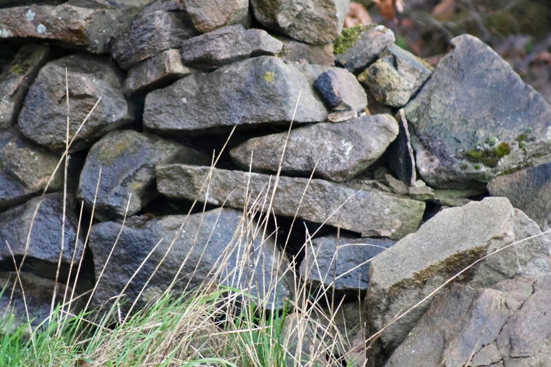 Peak District Dry Stone Wall