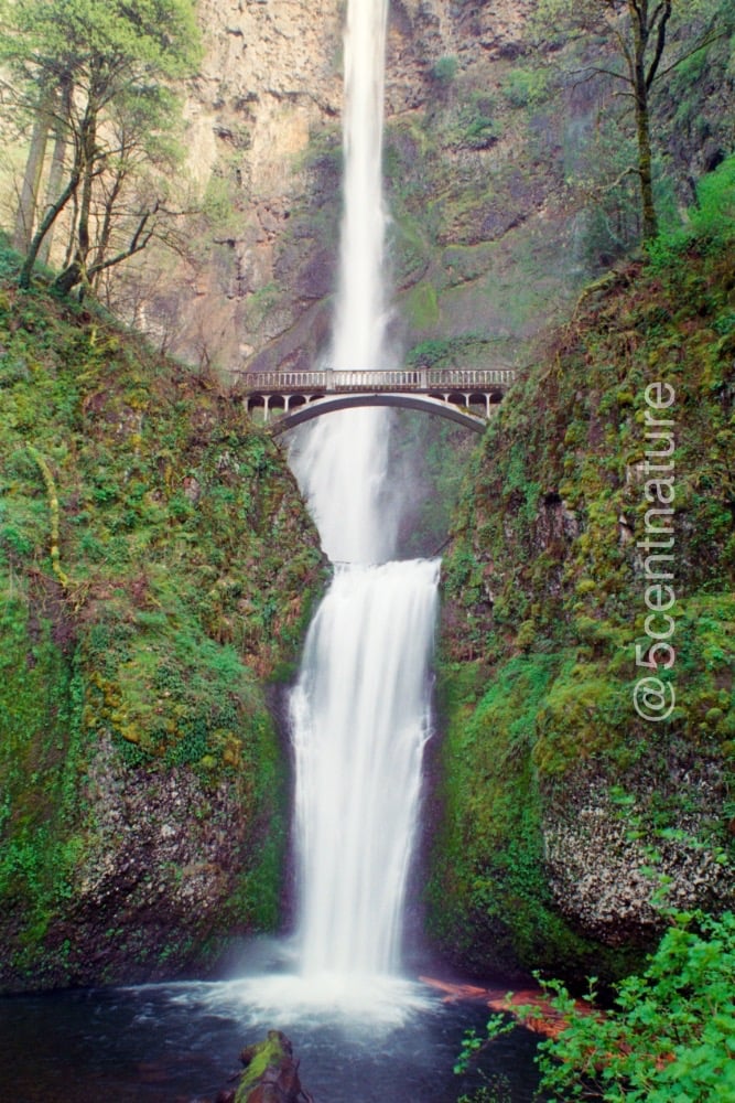 Multnomah Falls