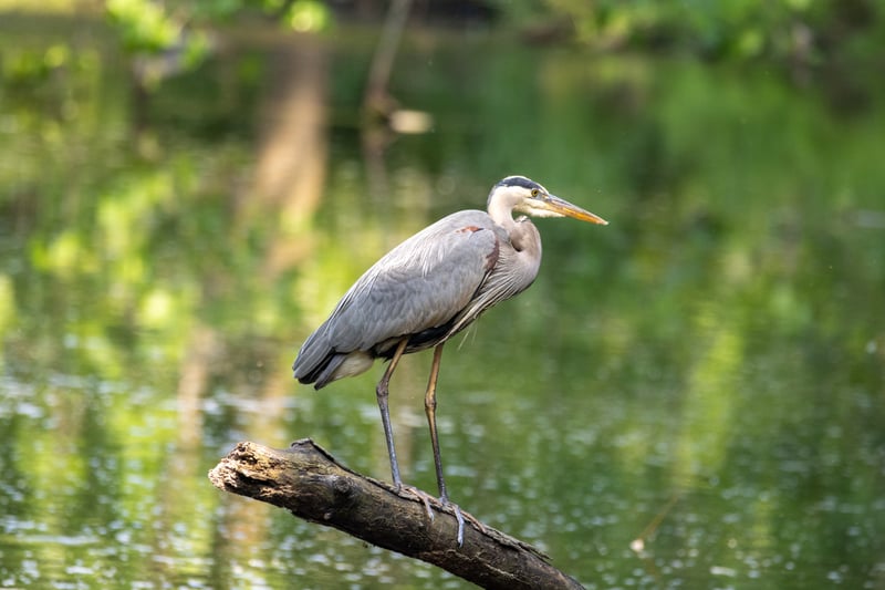 Firestone Metro Park