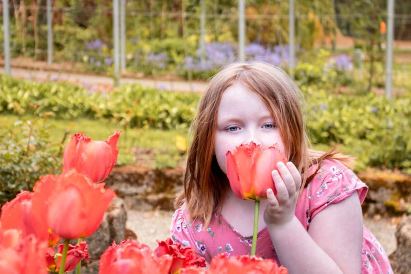 Point Defiance Park Rose Garden