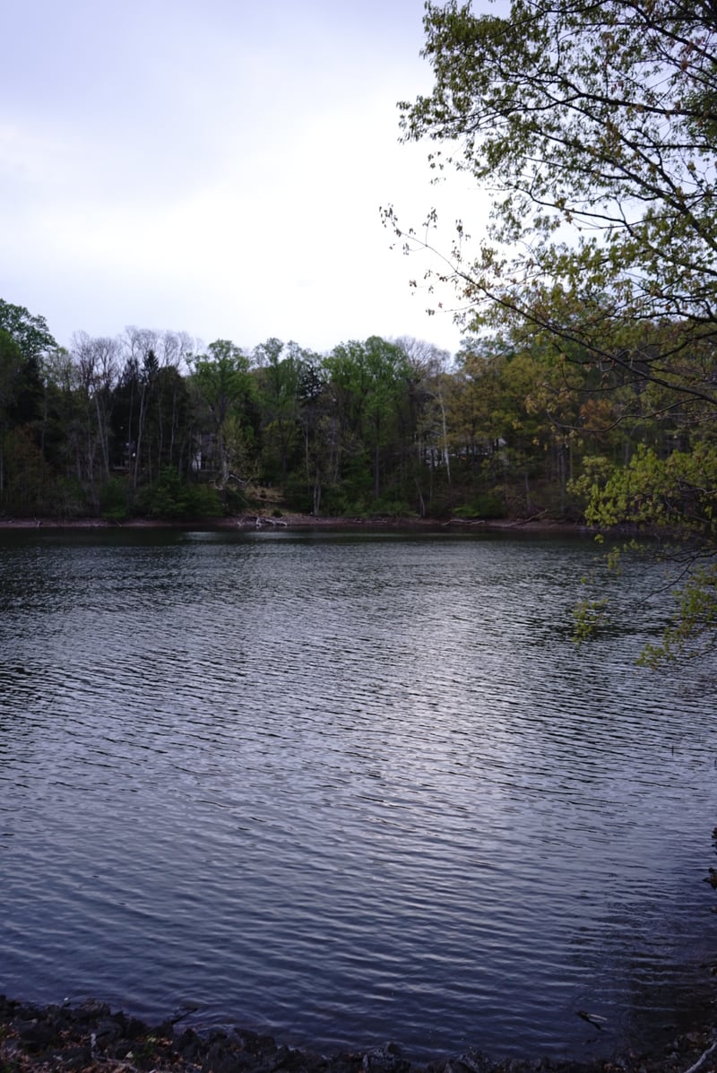 Springton Reservoir