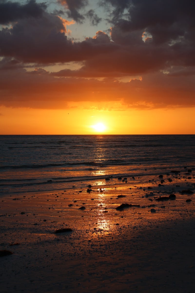 Honeymoon Island State Park