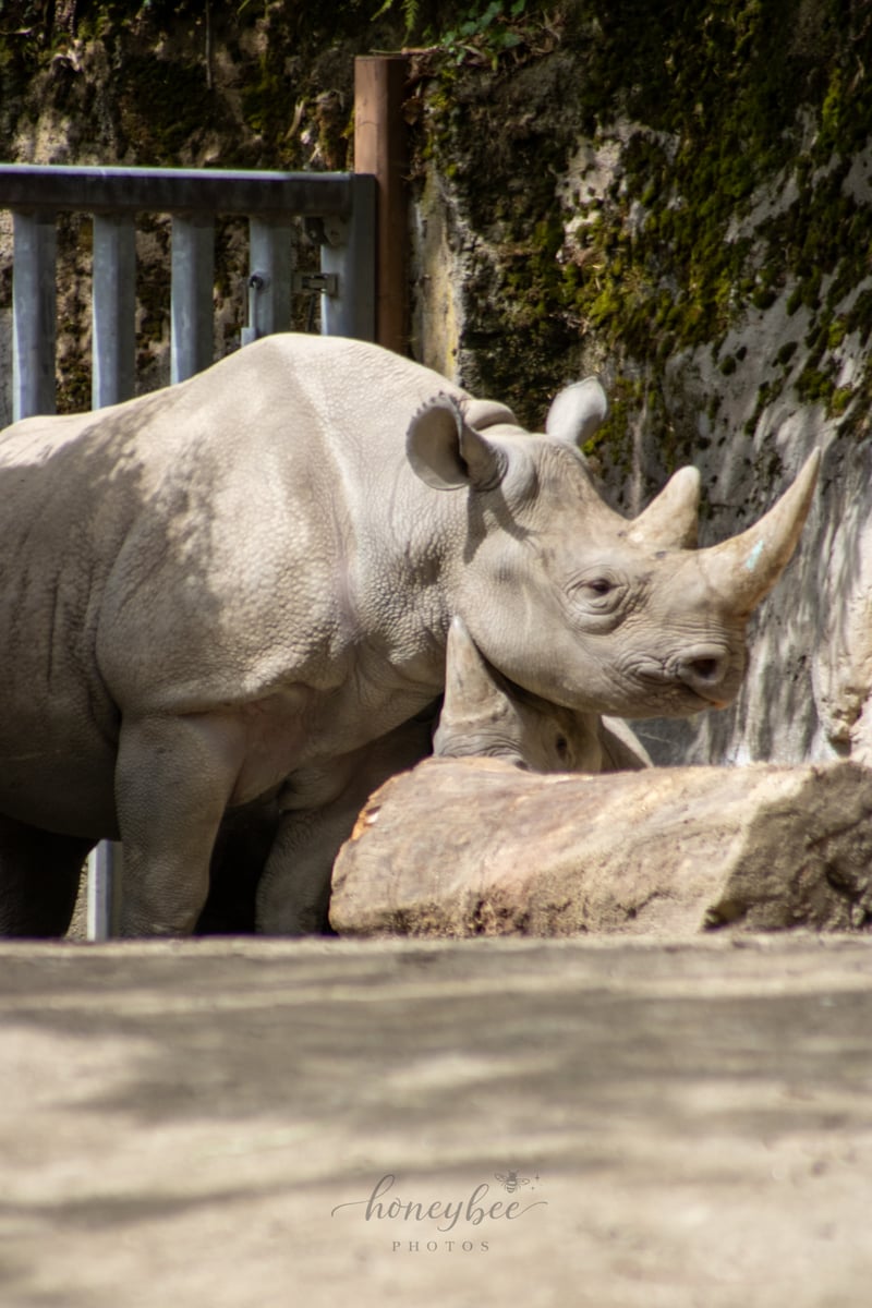 Oregon Zoo