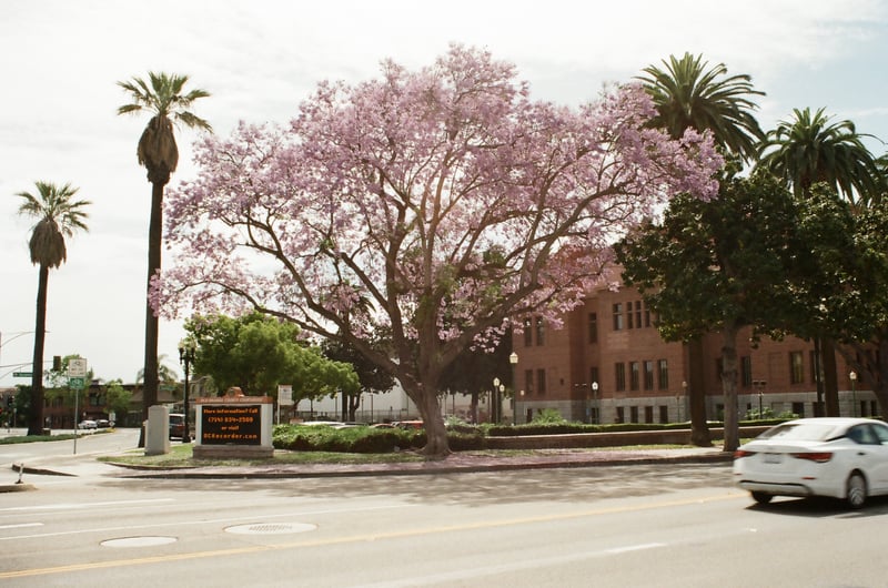 Old Orange County Courthouse