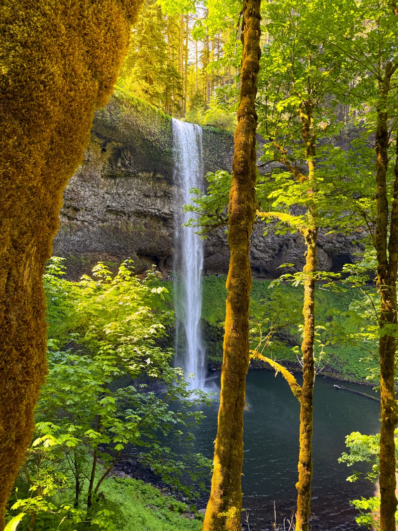 Silver Falls State Park