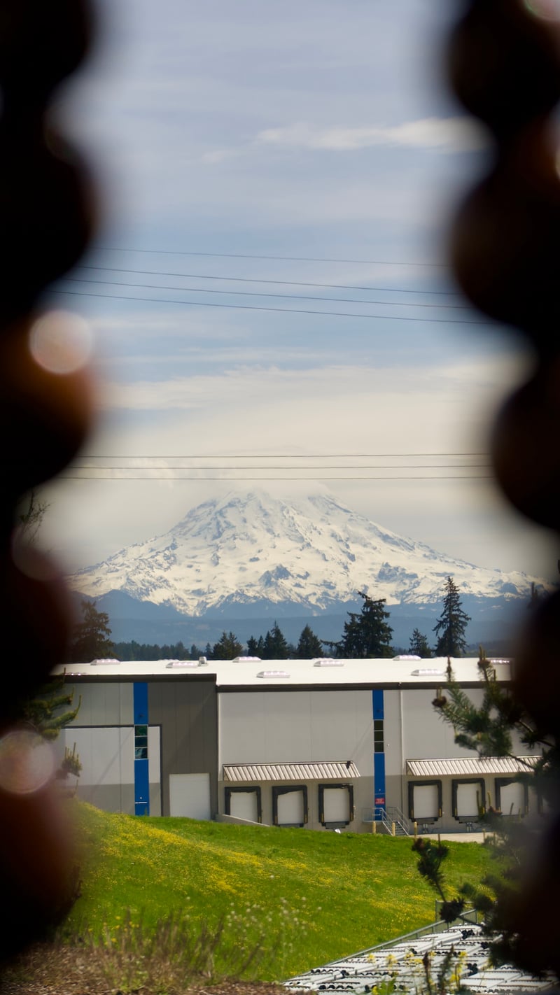Mount Rainier Frederickson Overlook