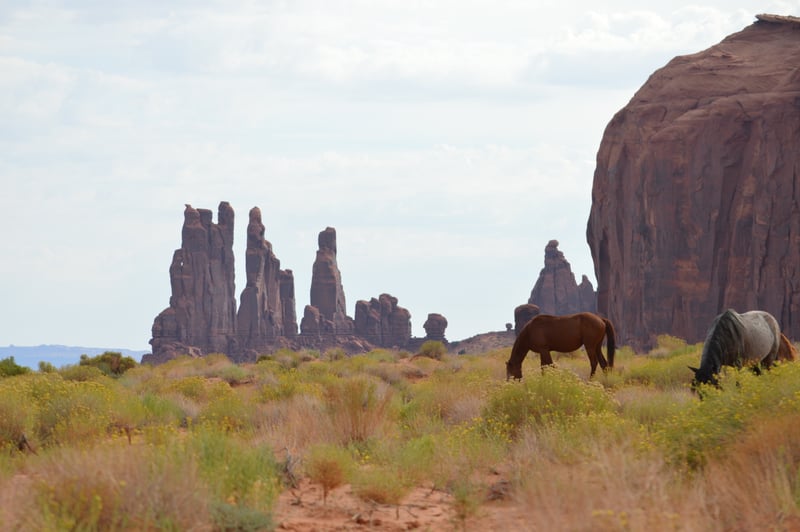 Monument Valley Navajo Tribal Park