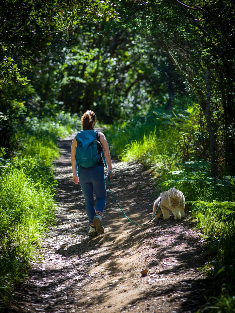 Tennessee Valley Trail