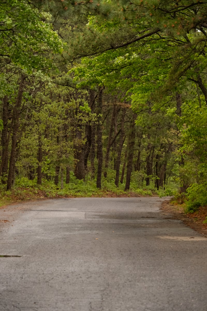 Connetquot River State Park Preserve
