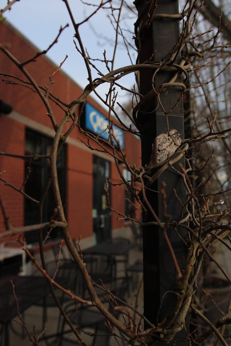 Crockett's Public House