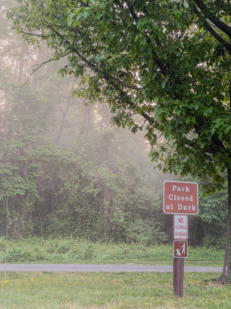 George Washington Memorial Parkway Woods