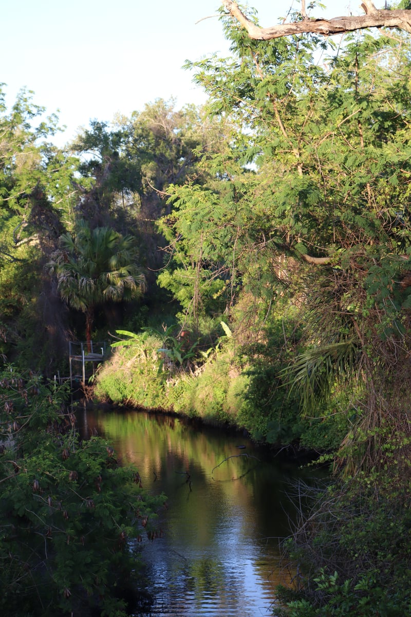 Bullfrog Creek Waterway