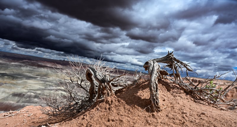 Painted Desert Overlook