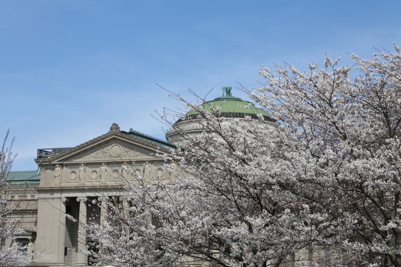 Museum of Science and Industry