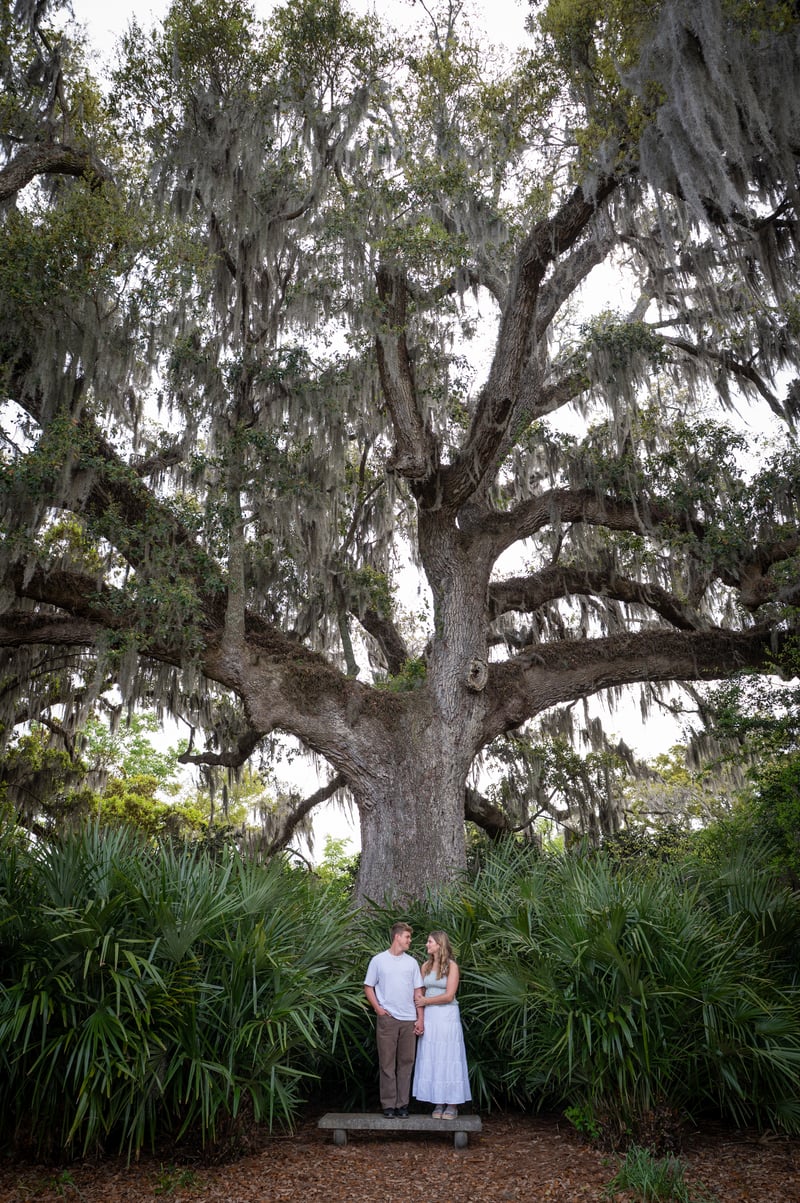 Airlie Gardens