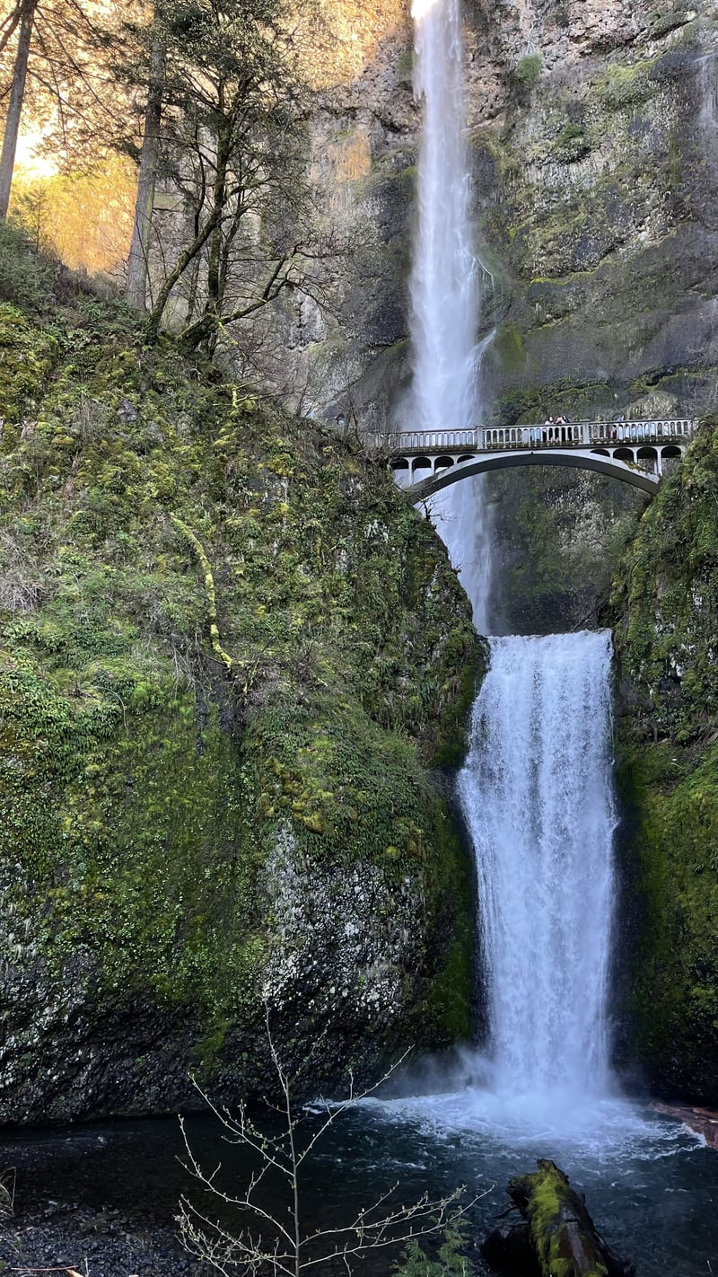 Multnomah Falls