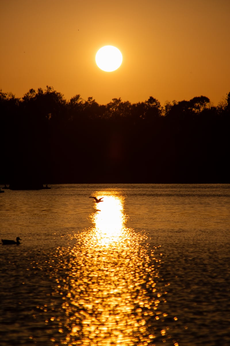 Guajome Regional Park