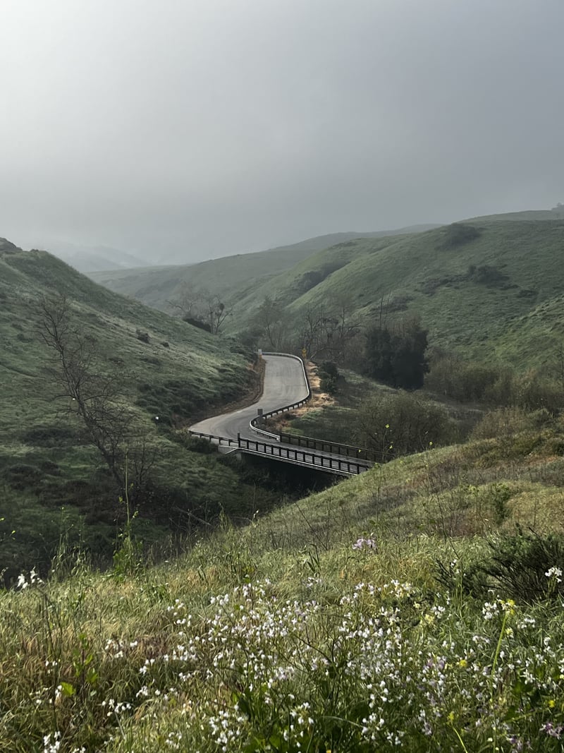Chino Hills Winding Road Overlook