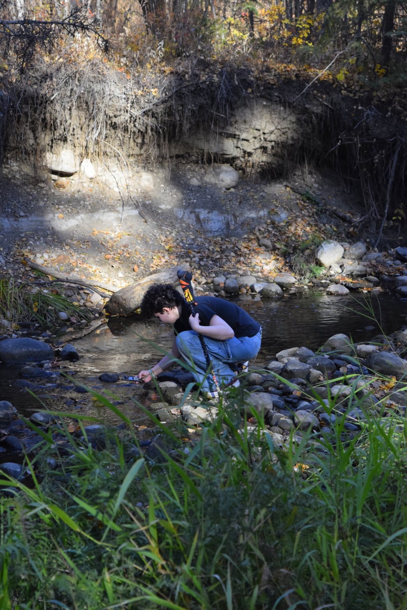 Mill Creek Ravine Park