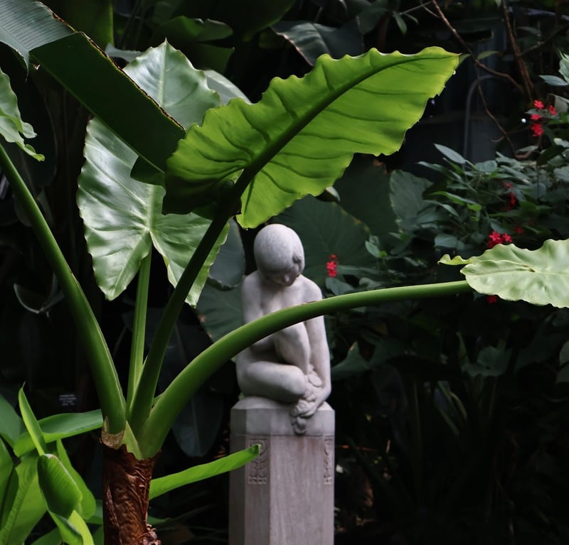 Lincoln Park Conservatory