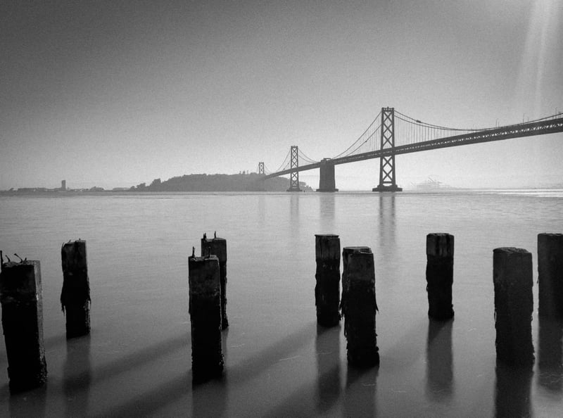 Old Pier 14 Pilings