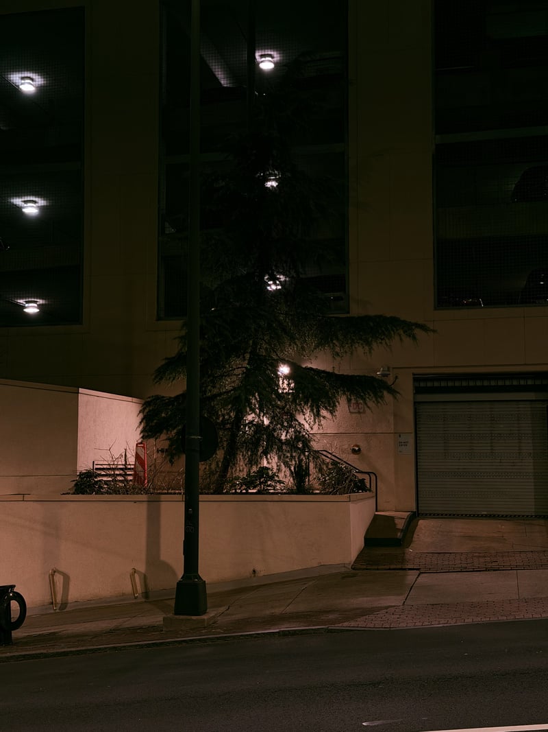 Williams Street Urban Nightscape