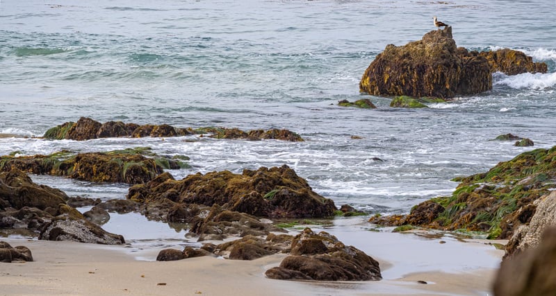 Diver's Cove