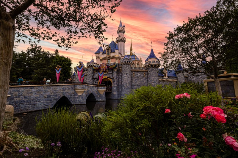 Sleeping Beauty Castle
